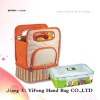 2012 newest design picnic bag