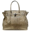 2012 newest fashion lady handbag