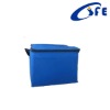 2012 non woven cooler bags with shoulder