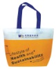 2012 non woven shopping bag