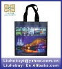 2012 pet hand bag with night view