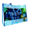 2012 pp woven bags manufacturers( NV-E342)