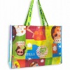 2012 pp woven shopping bag