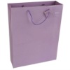 2012 promotional paper gift bag