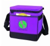 2012 promotional picnic shoulder bag (NV-D067)