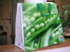 2012 promotional pp woven bag