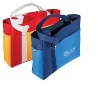 2012 promotional shopping beach bag