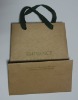 2012 recoverable shopping paper bag