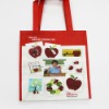 2012 recycled shopping bag