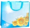 2012 shopping gift bags