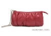 2012 top fashion Lady Clutch Bag