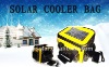 2012hot solar cooler bag, cooler bag