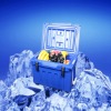 20L Blue Cooler Ice Box