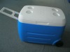 20L cooler box