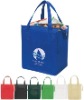 210D Picnic outdoor Cooler Bag