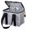 210D folding  Fashion cooler bag