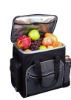 26L Foldable Cooler Bag