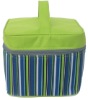 300D fashion cooler bag
