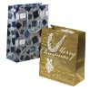 300g Eco-friendly shopping paper bag , gift bag , recyclable paper bag with high quality