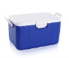 30L plastic insulated ice boxes