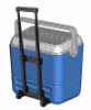 36L cooler boxes & bins