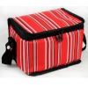 371 Ice Cooler bag