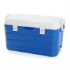 40L plastic picnic  esky