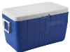 46L plastic cool box