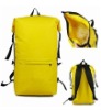 500D pvc waterproof backpack  DFL-WB0024