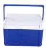 5L small lunch cooler box