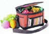 6 Can Cooler Bag