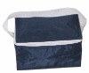 6 Cans cooler bag for promotion