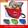 6 Pack Insulated Cooler Bag