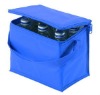 6 bottle cooler bag