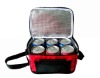 6 cans cooler bag for frozen food