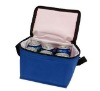 6 cans pack beer tin can cooler bag / promotional plastic lunch box cooler bag