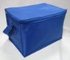 6 cans polyester insulated cooler bag