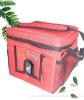 6 cans red cooler bag with adjustable shoulder strap