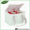 600*300D Polyester Cans Cooler Pack