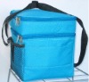 600D Can Cooler Bag