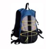 600D Fashion Backpack