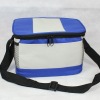 600D Ice cooler bag