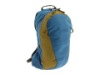 600D Polyester backpack