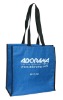 600D Polyester bag