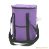 600D cooler bag