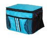 600D cooler bag