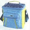 600D fashion cooler bag