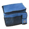 600D fashion cooler bag