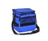 600D nylon cooler bag