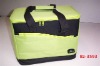 600D polyester Cooler bag